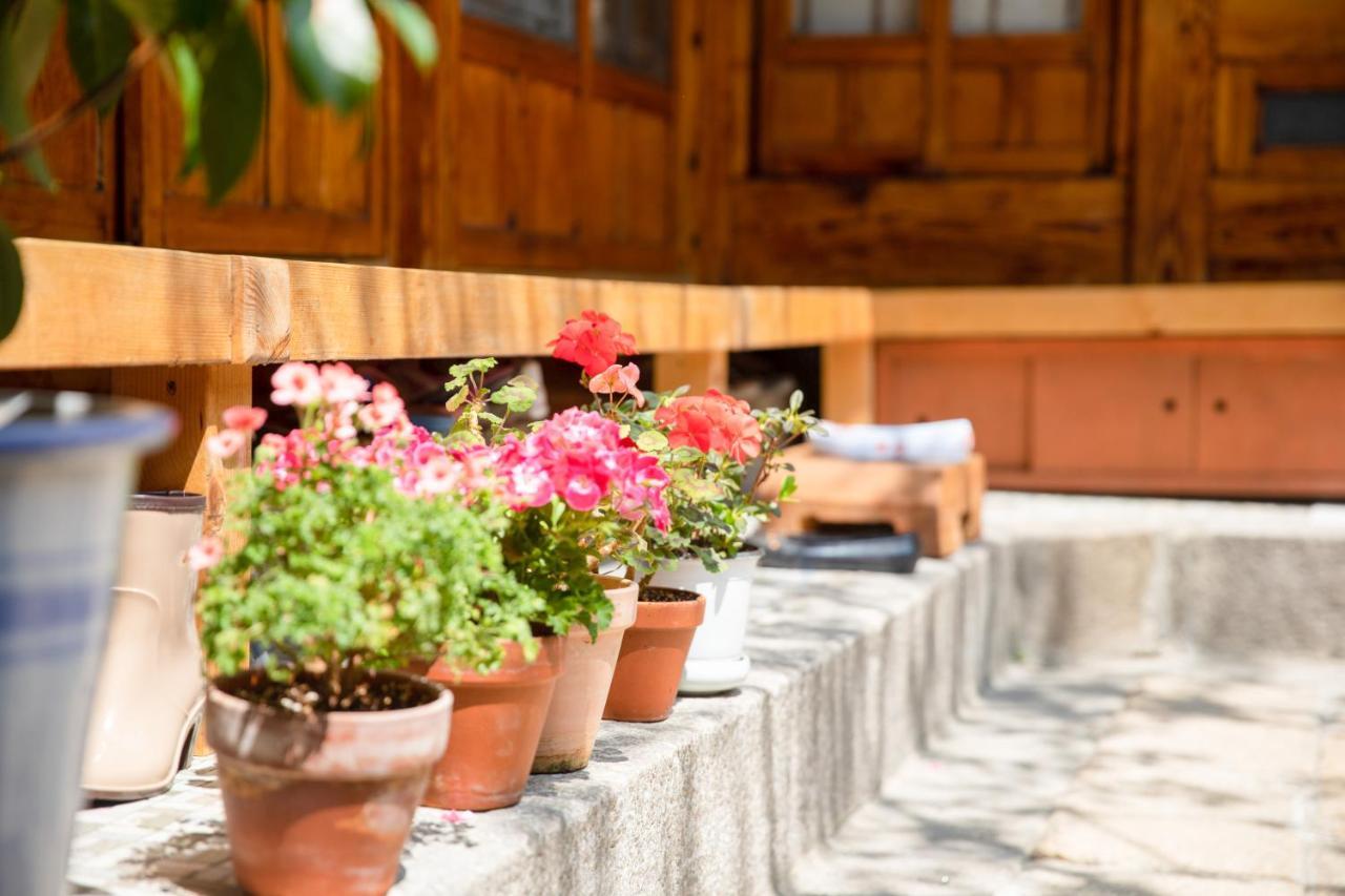 Dongmyo Hanok Sihwadang - Private Korean Style House In The City Center With A Beautiful Garden سيول المظهر الخارجي الصورة